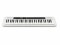 Bild 0 Casio Keyboard CT-S200WE Weiss, Tastatur Keys: 61, Gewichtung