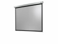 Celexon Deckeinbauleinwand Motor Professional Plus 220 x 165 cm