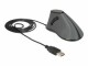 DeLock Ergonomische Maus 12527 USB, Maus-Typ: Ergonomisch, Maus
