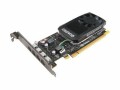 Lenovo NVIDIA Quadro P1000 - Grafikkarten - Quadro P1000