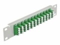 DeLock Verteilerplatte 10? LWL Patchpanel