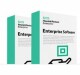 Hewlett-Packard HPE StoreEver KMIP Key Manager Client - Licence