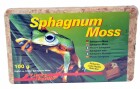 Lucky Reptile Bodensubstrat Sphagnum Moss 100 g/5 l, Produkttyp