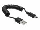 Immagine 2 DeLock DeLOCK - USB-Kabel - USB (M) bis Mini-USB,