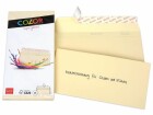 ELCO Couvert Color C5/6, Keine Fenster, 25 Stück, Chamois