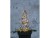 Image 1 Star Trading LED-Figur Foldy 50 cm Tannenbaum, zusammenfaltbar