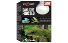 Repti Planet Terrarienlampe Daylight Frosted 50 W, Lampensockel: E27