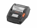 BIXOLON SPP-L3000 WLAN C COMPATIBLE BT 203DPI BARCODE DT SER