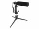 DeLock Mikrofon USB Vlog Shotgun Set für