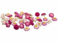 Dekomat AG Dekomat Strohblüten, Rosa-Pink, 36 Stück