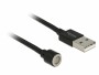 DeLock USB-Kabel magnetisch ohne Adapter USB A - Spezial