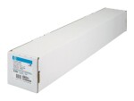 Hewlett-Packard HP Plotterpapier Q1396A Rolle 24"