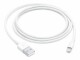 Apple Lightning to USB Cable 1m, APPLE Lightning to