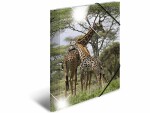 HERMA Gummibandmappe A4 Giraffe, Polypropylen, mit Innendruck