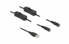 DeLock USB-Kabel USB-AStecker zu 2x DC 5.5 x 2.1
