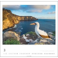 WEINGARTEN Kalender Galapagos 2024 3312230 48x46cm, DE, Kein