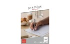 ELCO Notizblock Prestige A4 Liniert, 50 Blatt, Detailfarbe