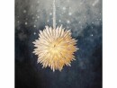 Star Trading Papierstern Cloud, 60 cm, Weiss, Betriebsart: Netzbetrieb