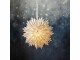 Star Trading Papierstern Cloud, 60 cm, Weiss, Betriebsart: Keine