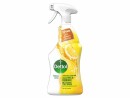 Dettol Allzweckreiniger Limetten- & Citrusduft 750 ml