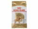 Royal Canin Trockenfutter Breed Nutrition Golden Retriever Adult, 12