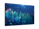 Bild 1 Philips Videowall Display X-Line 65BDL6005X/00 65"