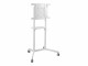 Audioraq TV-Trolley 37"-70" Weiss, Eigenschaften: Neigbar, Rotierbar