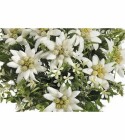 Botanic-Haus Kunstblume Edelweiss-Strauss 29 cm, Produkttyp