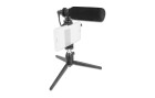 DeLock Mikrofon Vlog Shotgun Set für Smartphones und DSLR