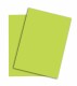 PAPYRUS   Rainbow Papier FSC          A4 - 88042608  leuchtend grün, 80g  500 Blatt