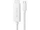 Targus HyperDrive - Adapter cable - 24 pin USB-C male