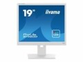 iiyama Monitor Prolite B1980D-W5 19 ", Bildschirmdiagonale: 19 "