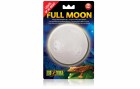 Exo Terra Terrarienlampe Full Moon 1W, Lampensockel: LED fest