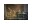 Bild 2 Star Trading LED-Figur Silhouette Tuby Deer, 35 cm, Transparent