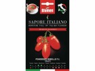 Blumen Saatgut Tomate Ribelle F.1