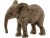 Bild 1 Schleich Spielzeugfigur Wild Life Afrikanisches Elefantenbaby