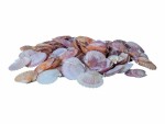 Dekomat AG Muscheln, 300 gr Pink/Weiss, Füllmenge: ml, Material