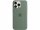 Apple Silicone Case mit MagSafe iPhone 15 Pro Max