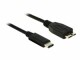 DeLock Delock 1m USB 3.1 (Gen.2) Kabel [USB Typ-C