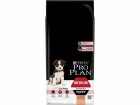Purina Pro Plan Trockenfutter Medium Puppy Sensitive Skin, Lachs, 12 kg
