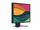 EIZO FlexScan S2134 BK 1600X1200 21.3IN