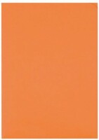ELCO Organisationsmappe Ordo A4 29466.82 discreta, orange 100