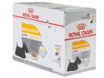 Royal Canin Nassfutter Care Nutrition Dermacomfort Mousse, 12 x 85g