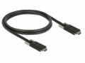 DeLock USB 3.1-Kabel SuperSpeed USB C - USB C