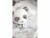 Bild 3 DouDou et compagnie Geschenkset Panda 20cm, Material: Polyester, Detailfarbe