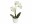 Bild 1 Botanic-Haus Kunstblume Phalenopsis 2 Rispen im Topf, Produkttyp