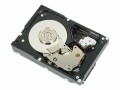 Dell Nearline - Festplatte - 1 TB - intern
