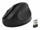 Immagine 17 Kensington Pro Fit Ergo Wireless Mouse - Mouse