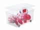 Rotho Aufbewahrungsbox 63 l mit Rollen, Transparent, Breite: 40