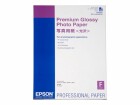 Epson Premium Glossy Photo Paper, DIN A2, 255 g / m², 25 Blatt